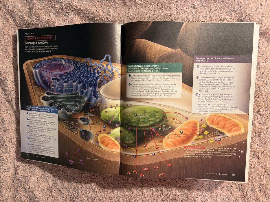 Biologia Campbella