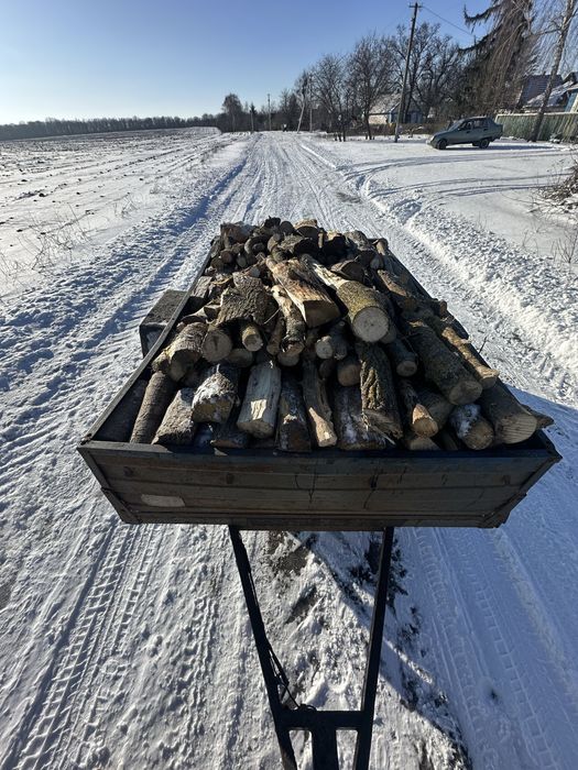 Продам дрова(рубані-колені) КЛЕНОК,ОКАЦІЯ