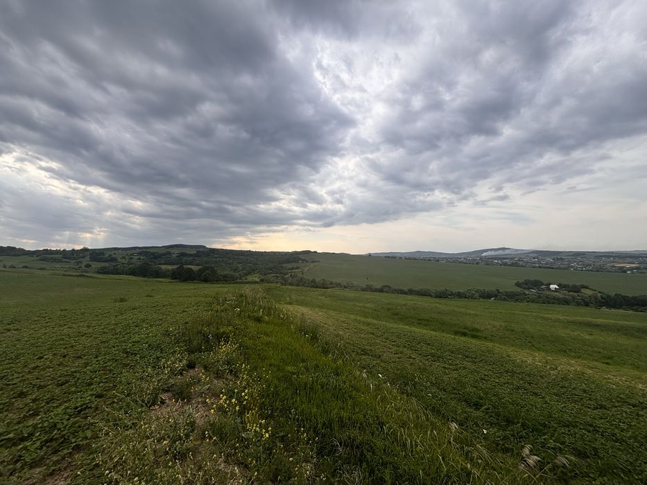 Продаж 26 Га землі с. Снячів (можливо частинами)