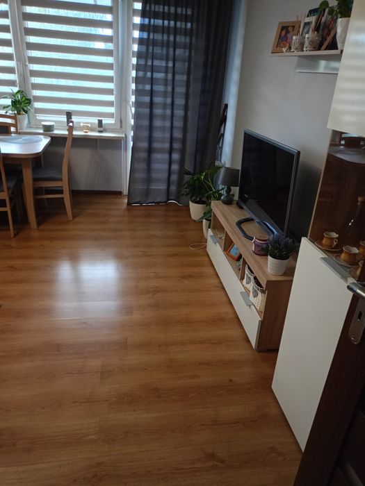 Mieszkanie. 2 pokoje