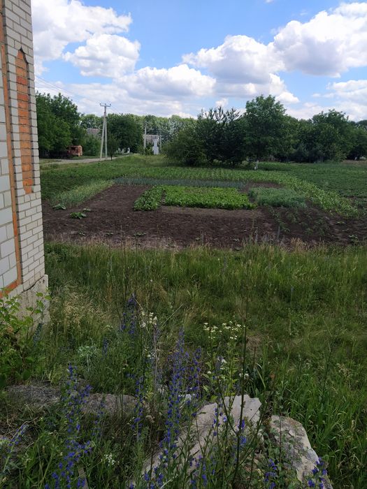 дом будинок недобудова