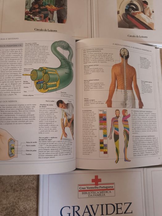 Livros Cruz Vermelha - Saúde