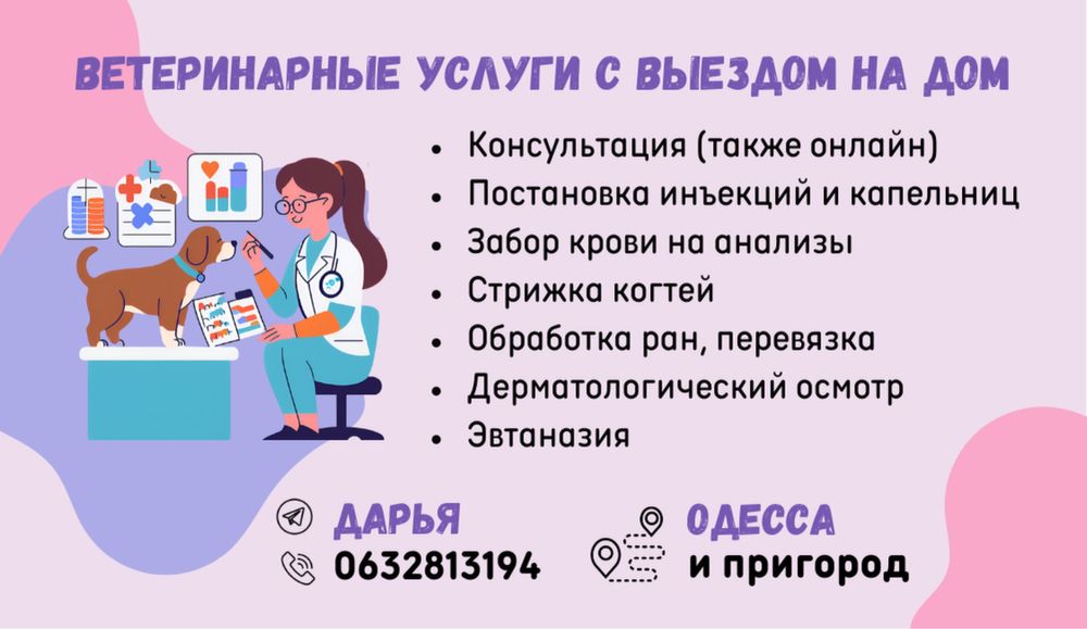 Ветеринарные услуги с выездом на дом. Ветеринар. Дерматолог