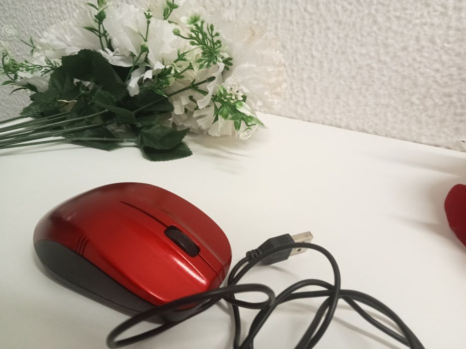 Mouse (semi novo)