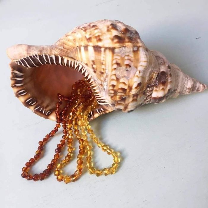Colar de Âmbar baltico