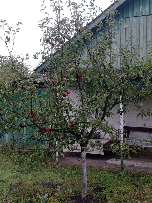 Газифікований та жилий будинок. Село Смолянка.
