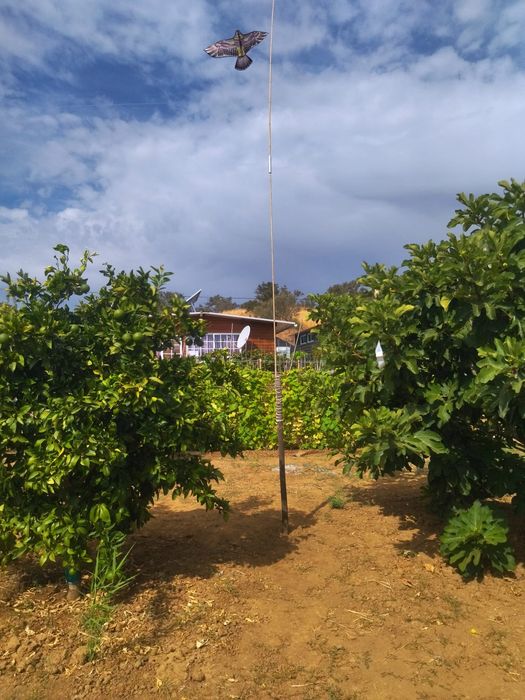 Casa com terreno