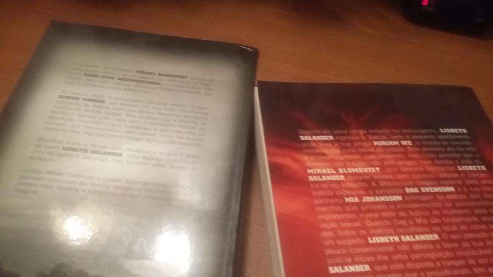 Livro de S. Larson-Os Homens que odeiam as mulheres