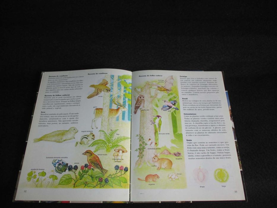 Livro Dicionário Ilustrado da Natureza Colin e Moira Maclean