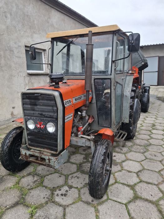 Ciągnik Massey Ferguson 255 z przyczepą D-35M