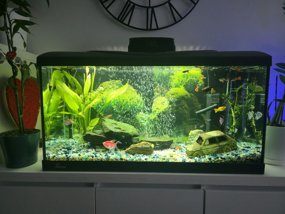 Akwarium 112l Diversa+Filtr zewnętrzny