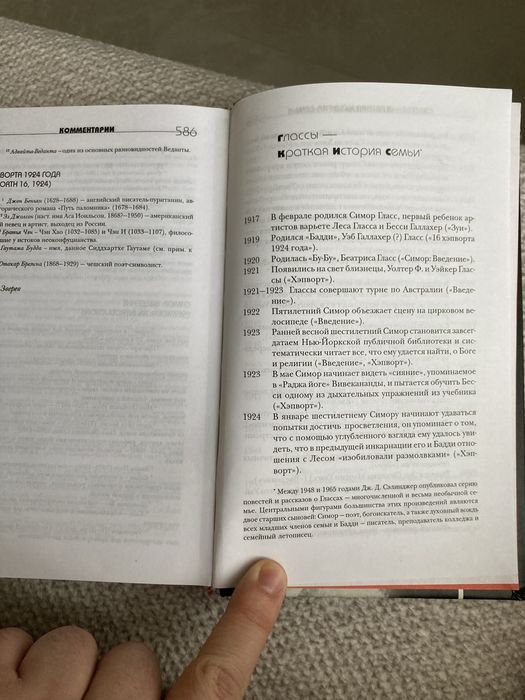 Джером Селиджер. Над пропастью во ржи. Више стропила, плотники