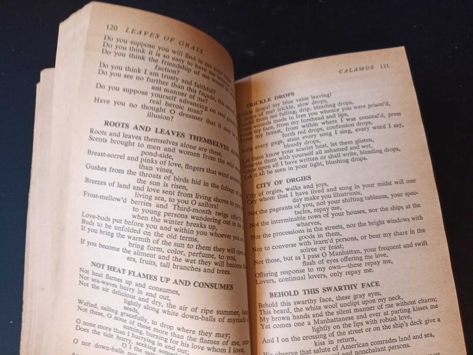 "Leaves of Grass" por Walt Whitman