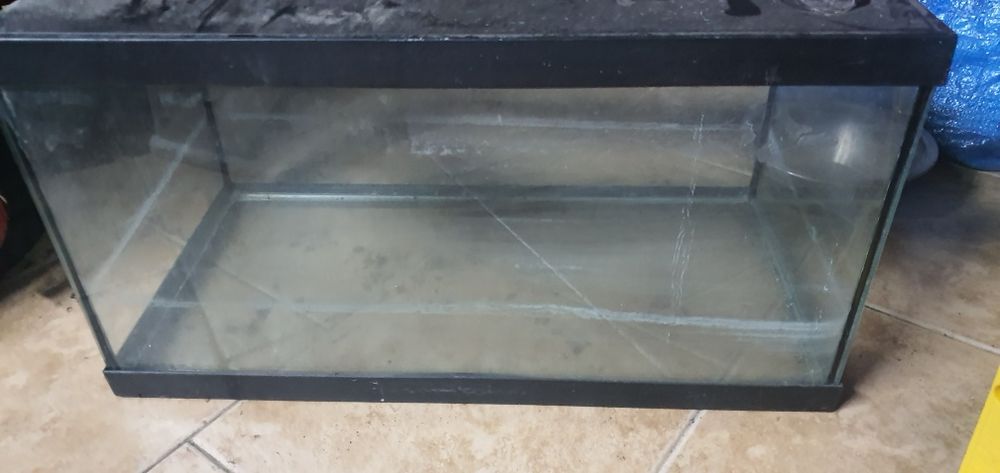 Aquário para peixes ou repteis