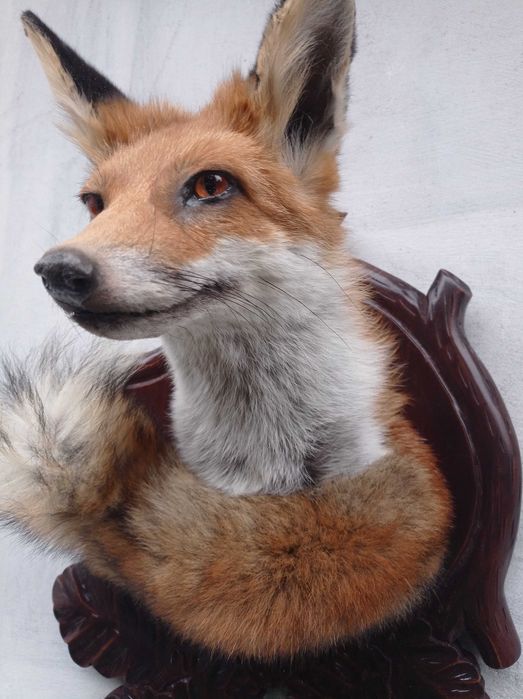 medalion lisa trofea lowiectwo myslistwo prezent