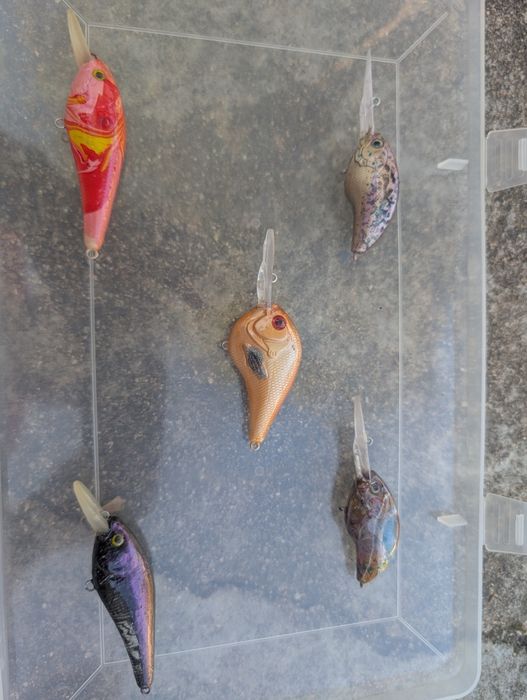 Amostras de pesca personalizadas
