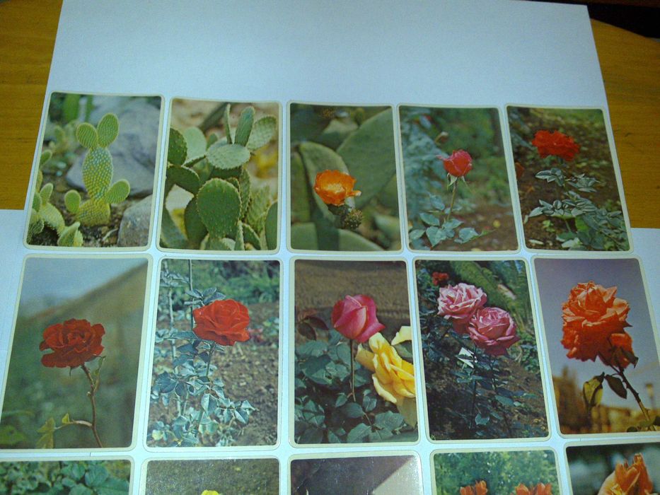 flores - coleção primavera (100 calendários) 1985 rara