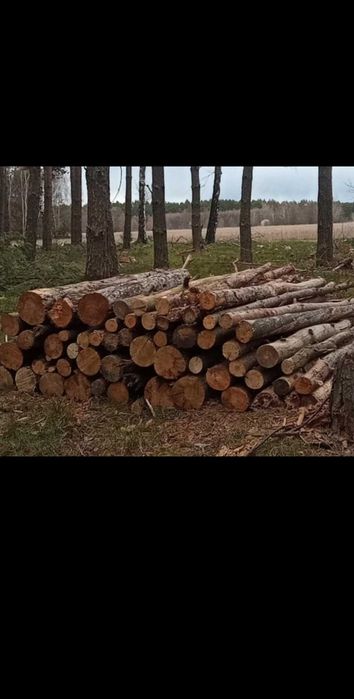 Tanie drewno opałowe sosna gubin okolice