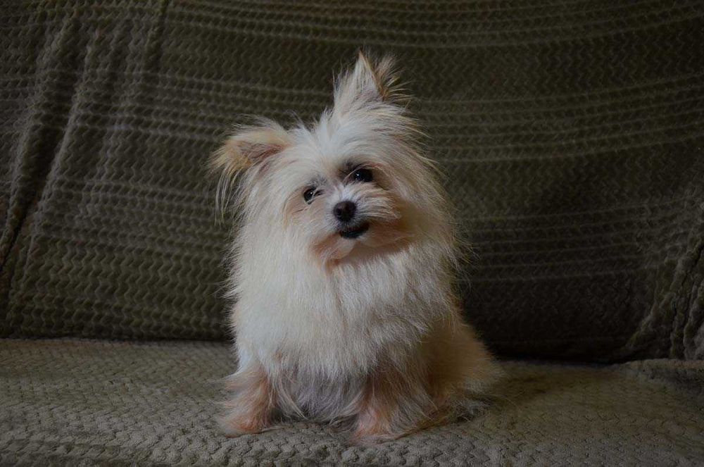 Гарна дівчинка 5 років.