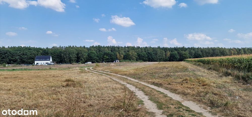 Swobnica działka nad jeziorem świetna lokalizacja - Widok 3