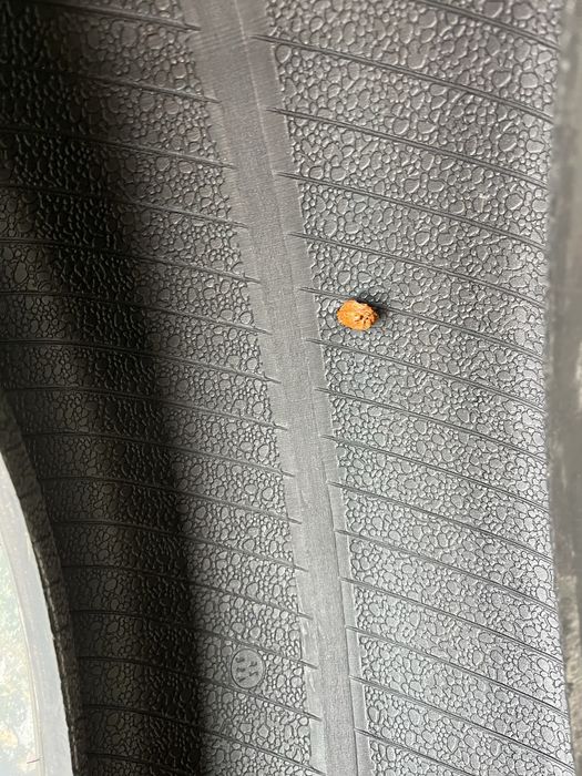 235 55 r19 резина літня 2022 рік