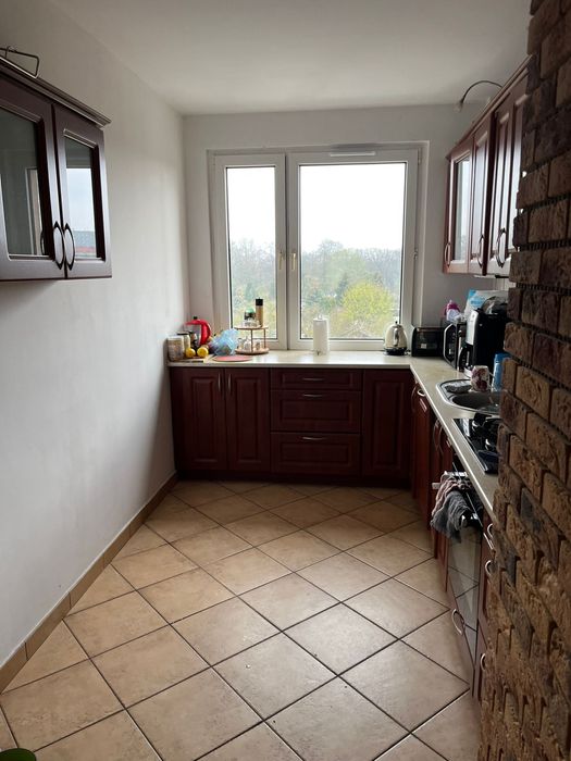Wynajmne mieszkanie 2 pokoje 53m2