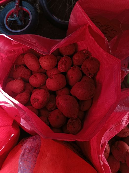 Віддам картоплю середня і дрібна