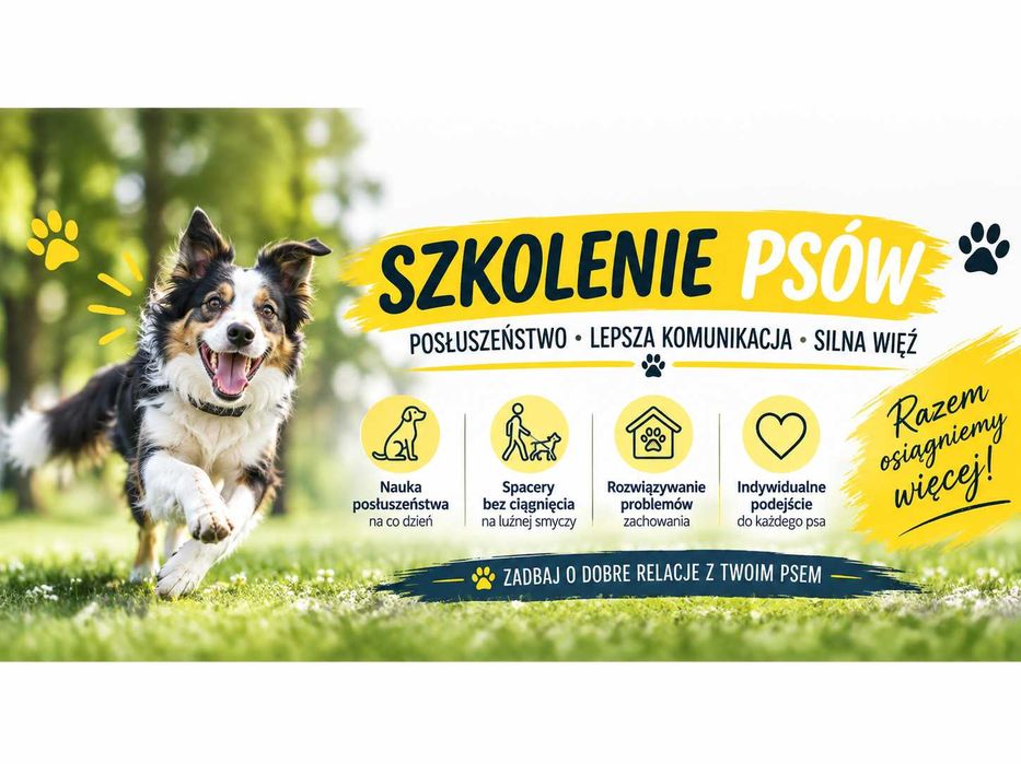 Trener Psów - Szkoła dla Psów - Konsultacje dla Opiekunów Psów - Psie Przedszkole - Zajęcia dla Psów