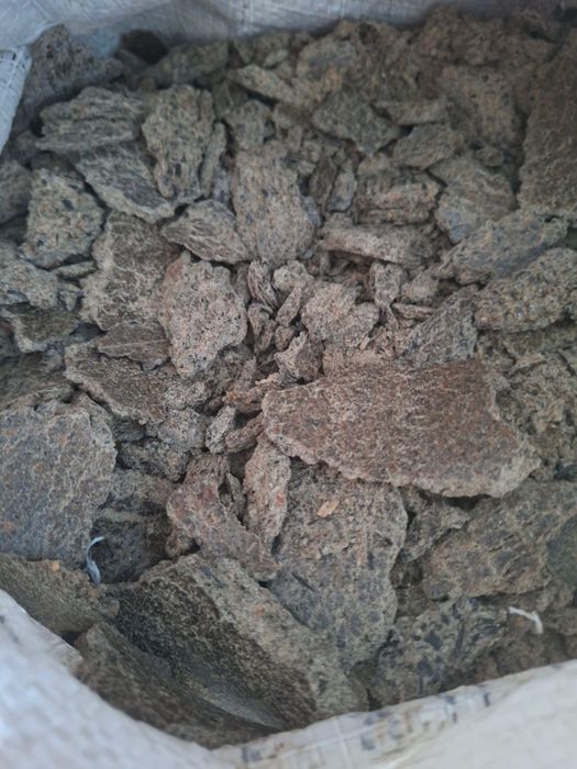 Макуха соняшникова