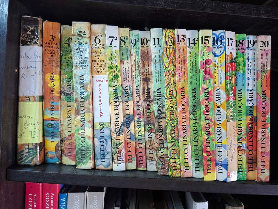 Teleculinária e doçaria - Fascículos nas suas capas - 21 volumes por Chefe António Silva