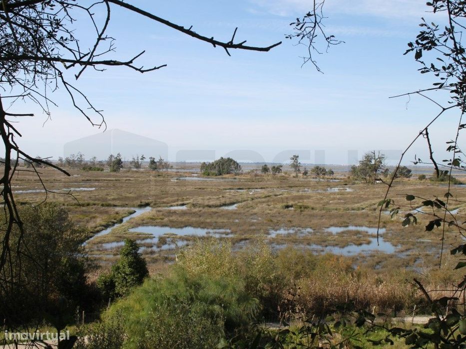 Terreno com vistas Ria - Passadiços