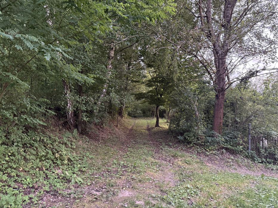 Зміна ціни 6,000