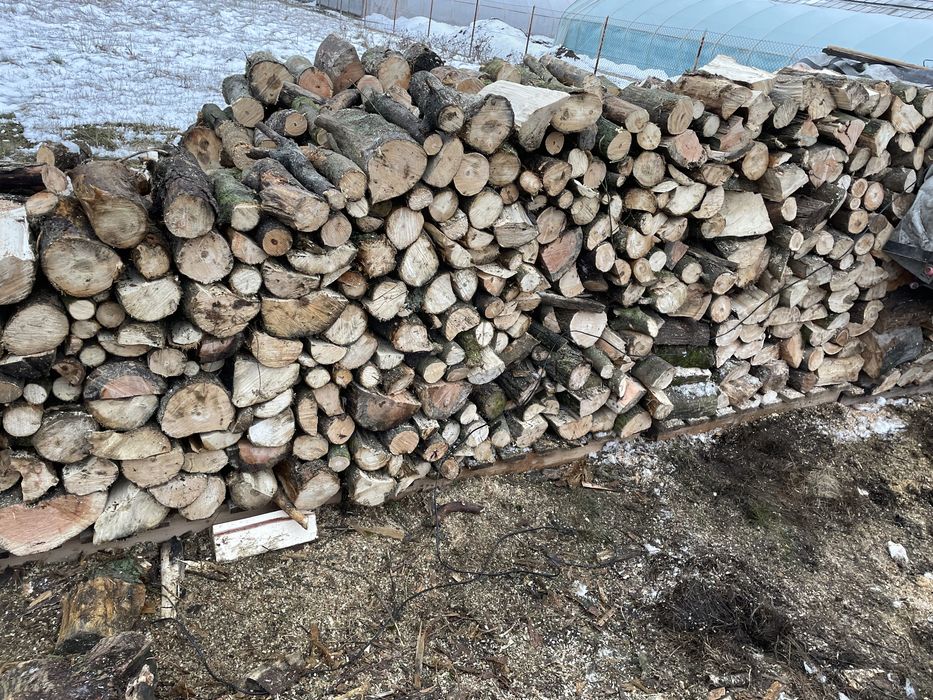 Drewno kominkowe opalowe dab grab brzoza lupane warto !