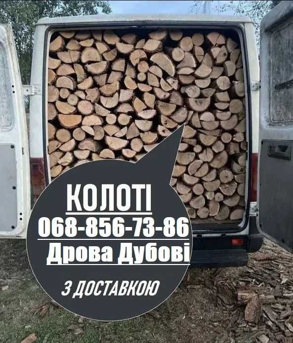 Дрова дубові, колоті Кропивницький