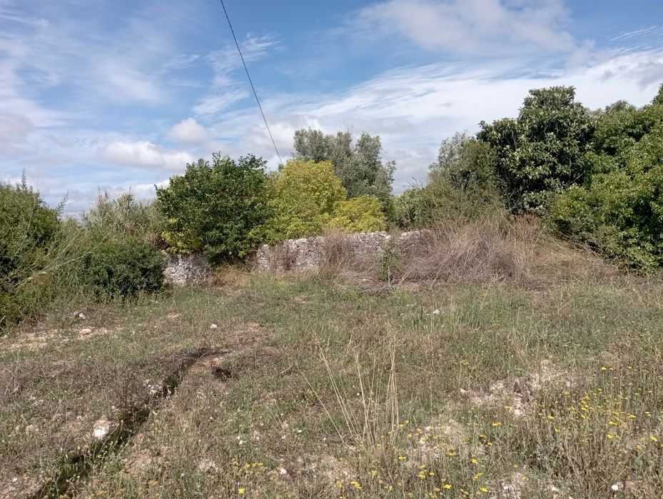 Casa de campo em ruína com terreno
