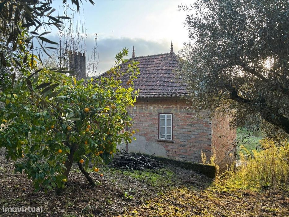 Quintinha Encantadora no Campo