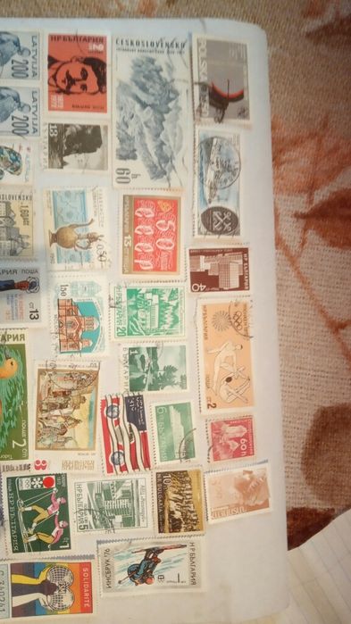 Маркидоговорная.