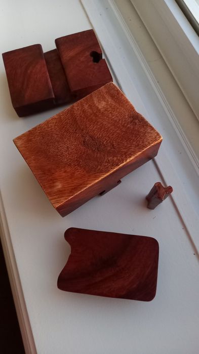 Caixa de madeira handmade com lagartos
