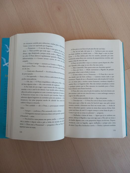 Livro "A Ladra que Cantava Tempestades"