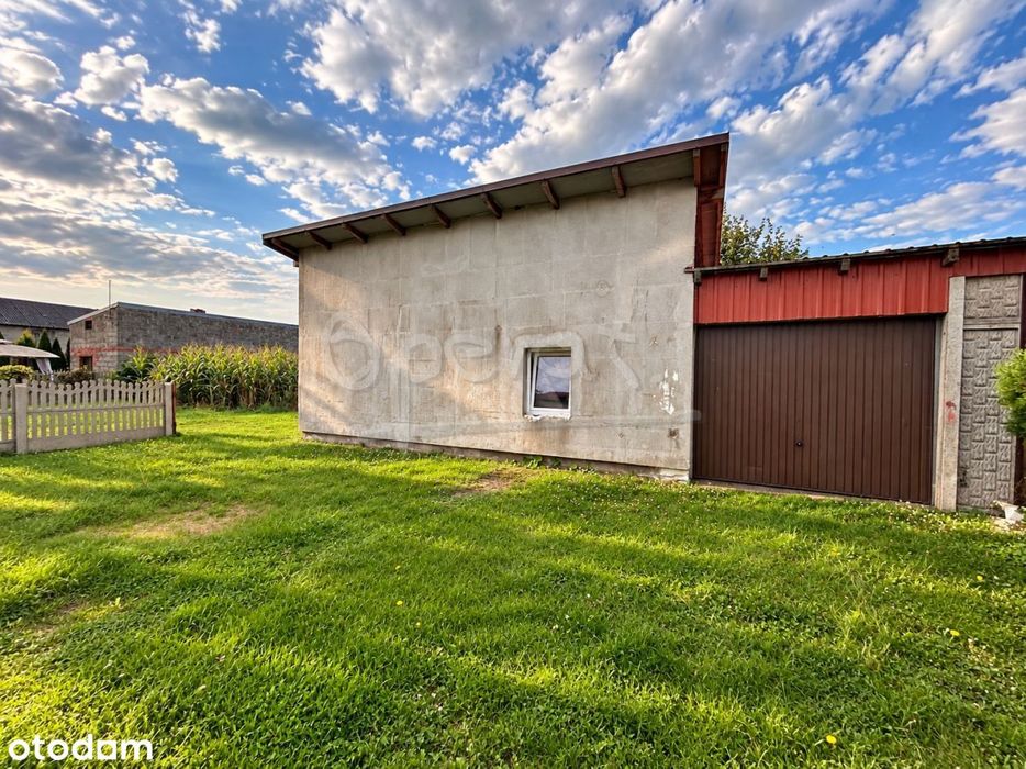 Dom – Sieroszewice, Wypychy - Widok 5