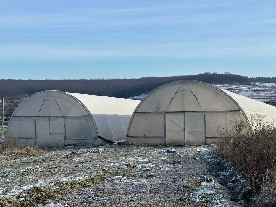 Перспективна ділянка з теплицями для успішного агробізнесу