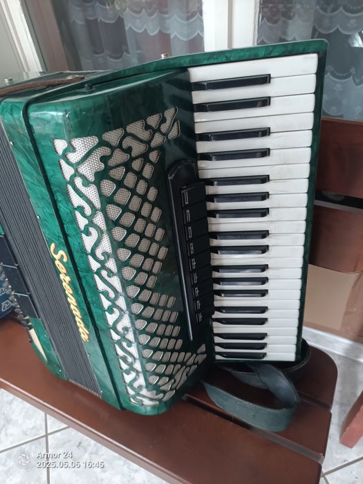 Akordeon serenada 120