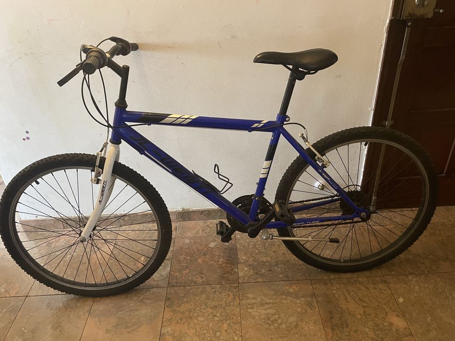 Bicicleta para adultos aro 24