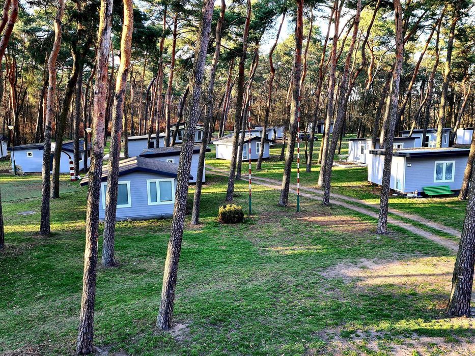 Domki letniskowe w ośrodku wypoczynkowym nad jeziorem Chodeckim