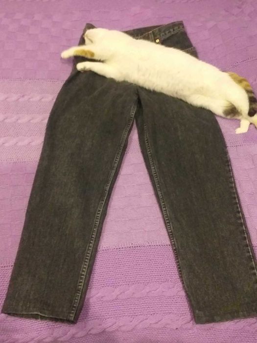 Jeansy Vintage Levi’s 726 Orange Tab