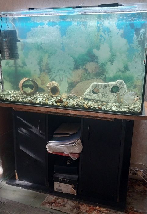 Продам аквариум с рыбками