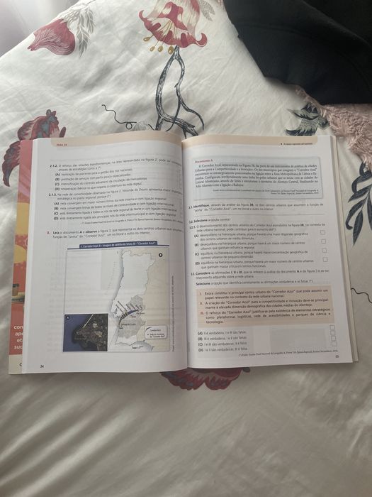 Caderno de atividades Geo.pt - 11º ano
