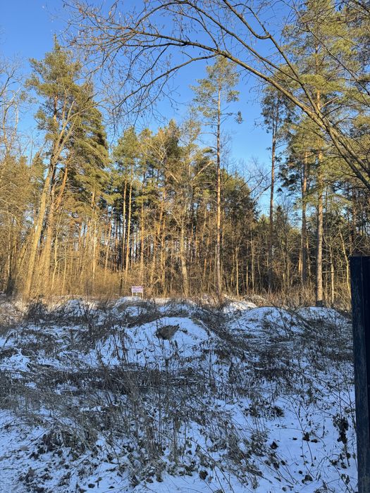 Продам ділянку с виходом до Заповідного Лісу