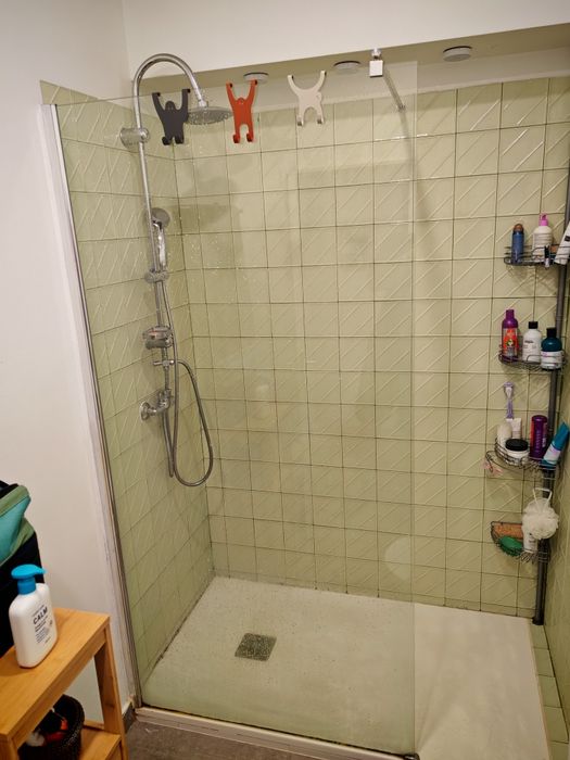 Painel de duche transparente 80x190