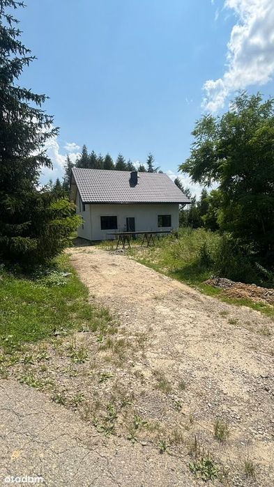 Dom w leśnym zaciszu wszystkie media !